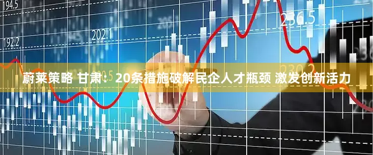 蔚莱策略 甘肃：20条措施破解民企人才瓶颈 激发创新活力